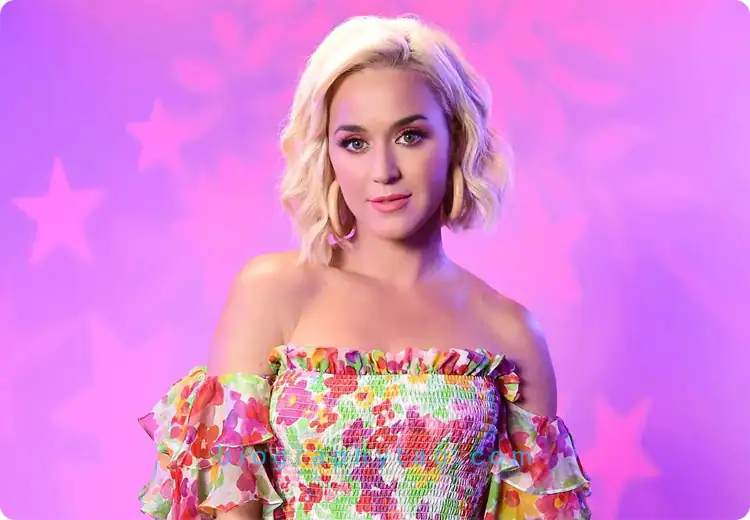 Katy Perry Biography Life Story